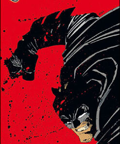 Batman - Dark Knight