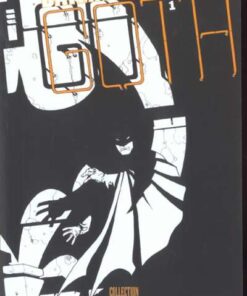 Batman : D'ombre et de lumière Tome 1