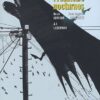 Batman : No Man's Land Tome 6