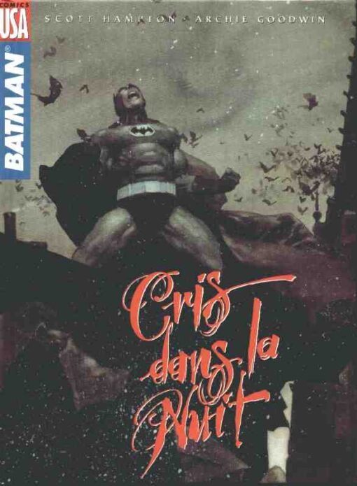 Batman : Cris dans la nuit