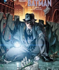 Batman Tome 5