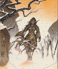 Samurai Intégrale N&B Volume 2