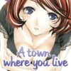 A town where you live 17