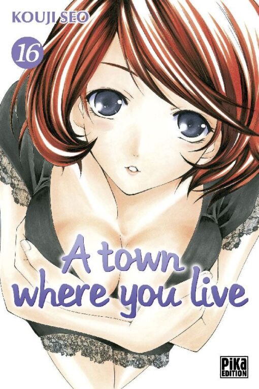 A town where you live 16