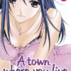 A town where you live 17
