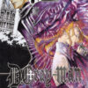 D.Gray-Man Vol. 13
