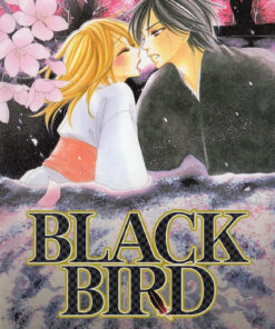 Black Bird 8