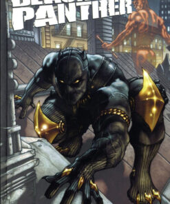 Black Panther Marvel Deluxe