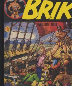 Brik Tome 1