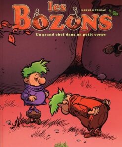 Les Bozons