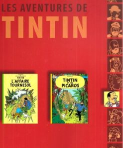 Tintin