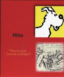 Tintin