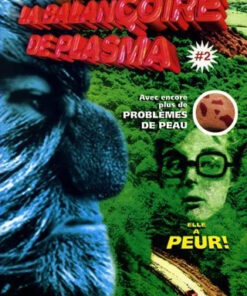 La Balançoire de plasma #2
