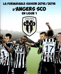 La formidable saison 2015/2016 d'Angers SCO en Ligue 1