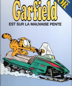 Garfield Tome 25