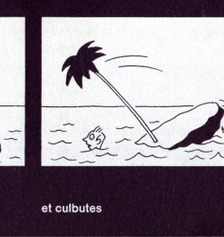 Rêves et Culbutes