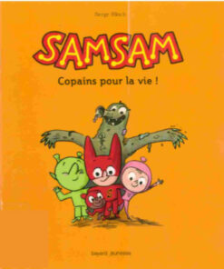 SamSam 2