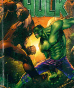Hulk - Les aventures 3