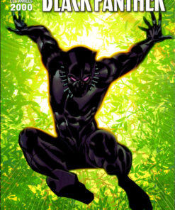 Marvel Les Années 2000 - La Renaissance 2