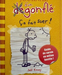 Journal d'un dégonflé Tome 4