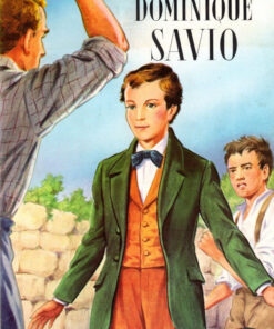 Belles histoires Belles vies Tome 26