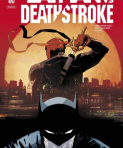Batman vs Deathstroke