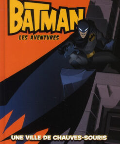 Batman : les aventures 1