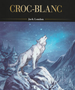 Les Grands Classiques de la littérature en bande dessinée Tome 33