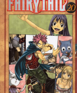 Fairy Tail 20