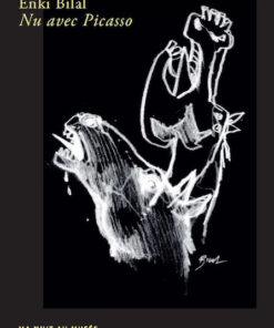 Nu avec Picasso