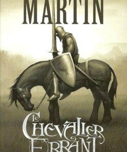 Le Chevalier errant 1