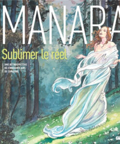 Sublimer le réel