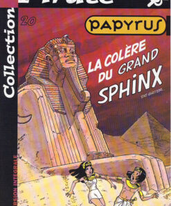 Papyrus Tome 20