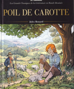 Les Grands Classiques de la littérature en bande dessinée Tome 41