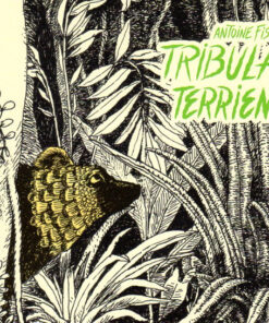 Tribulations Terriennes