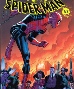 Spider-man : Gang War Volume 1/3