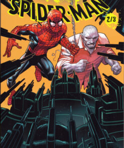 Spider-man : Gang War Volume 2/3