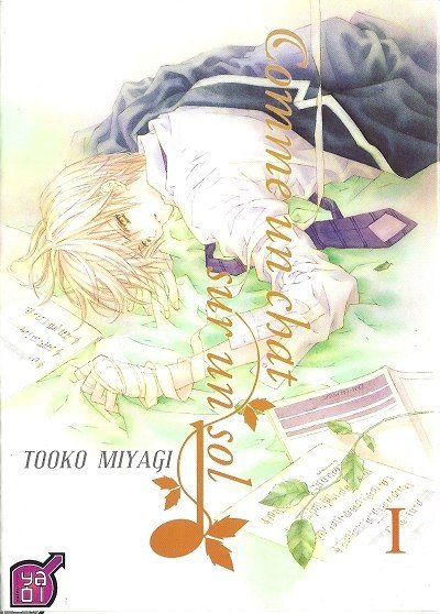 Comme un chat sur un sol I