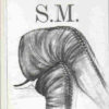 S.Maxi B.D.