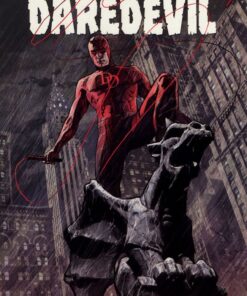 Daredevil Tome 6