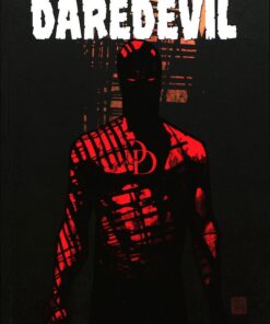 Daredevil Tome 9