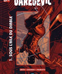 Daredevil Tome 1