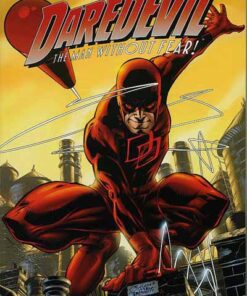 Daredevil Tome 1