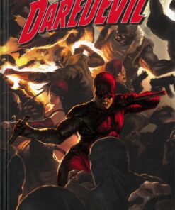 Daredevil par Brubaker Tome 2