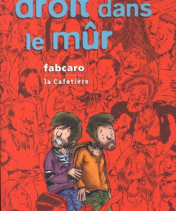 Droit dans le mûr