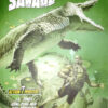 First Wave featuring Doc Savage Tome 2