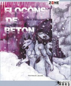 Flocons de béton