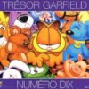 Garfield numéro Deux