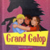 Grand Loup Tome 1
