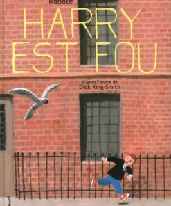 Harry est fou